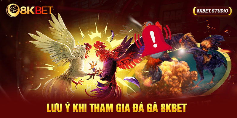 Một số lưu ý khi tham gia chơi đá gà